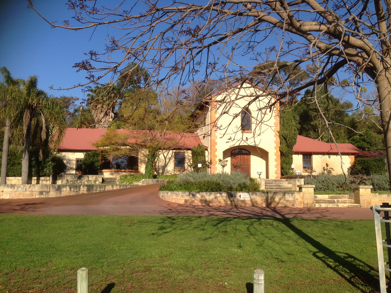 snapshot of the front of the church with a bare tree in front