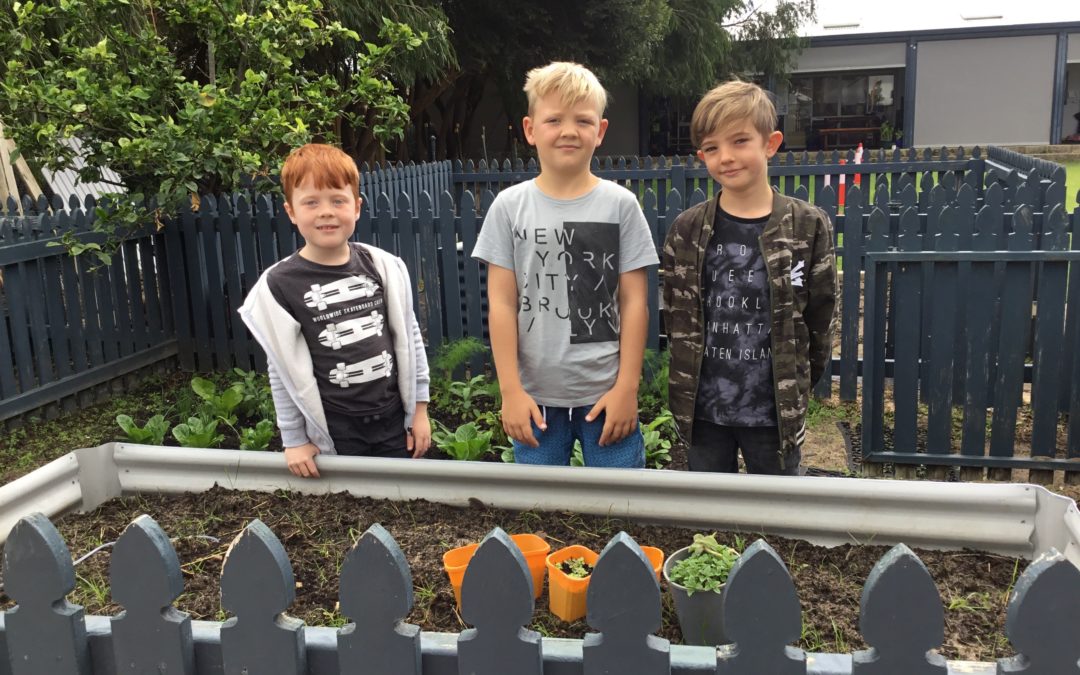 Rockingham Montessori School boys striking a photo in front of the vegetable garden