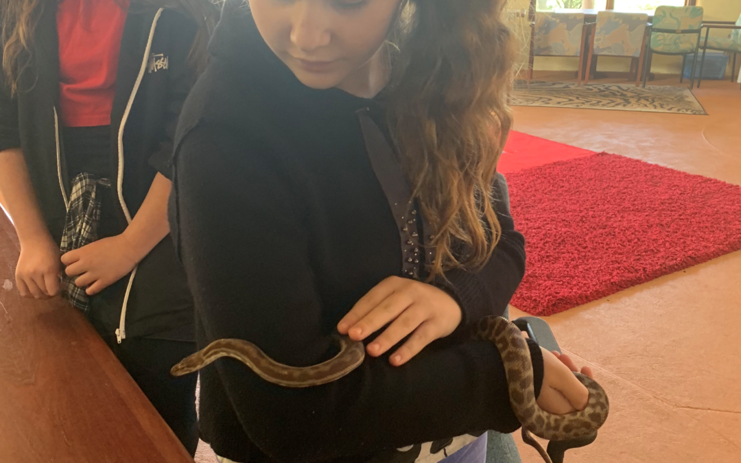 Rockingham Montessori female student holding a snake