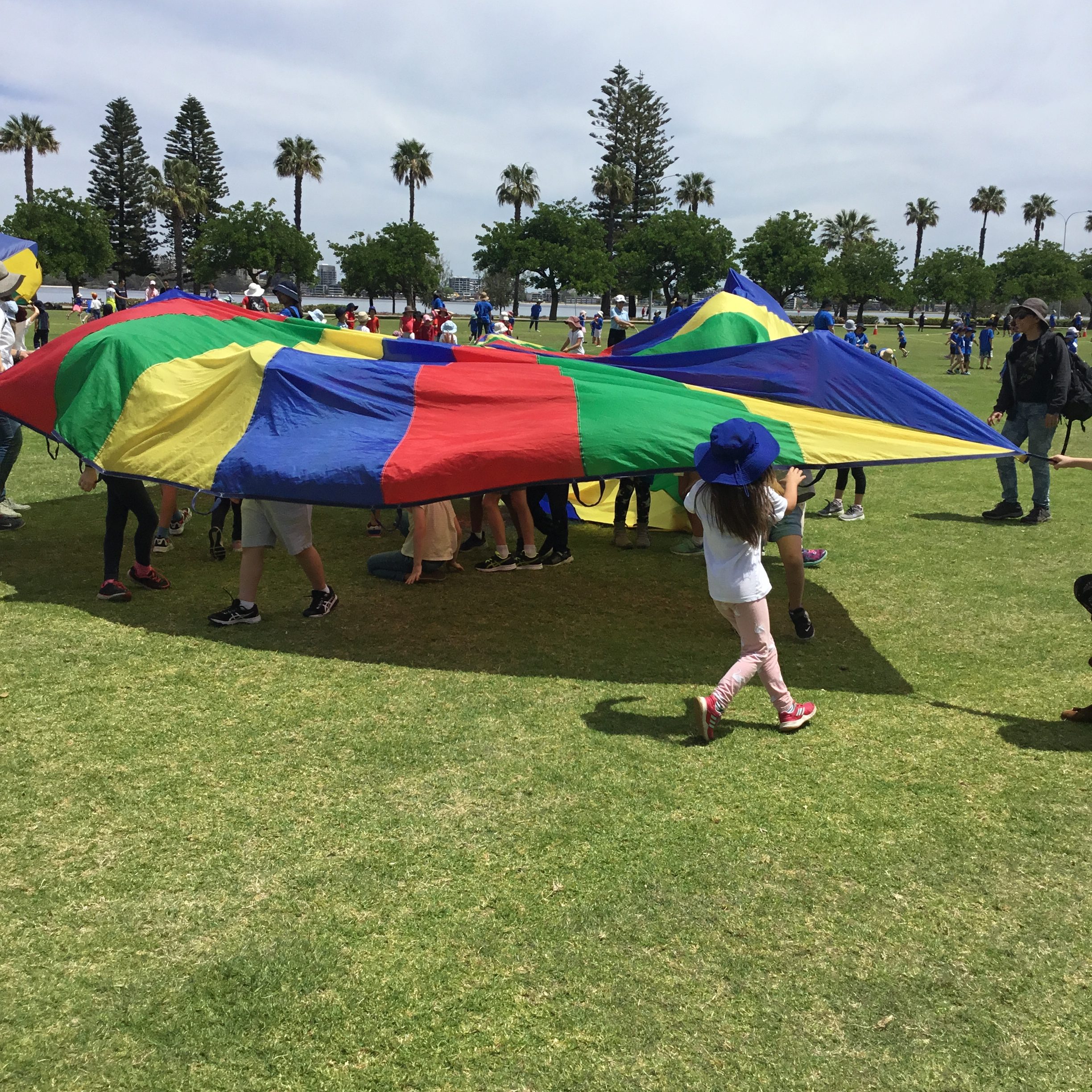 Rockingham Montessori primary students playing with a large quilt in the field