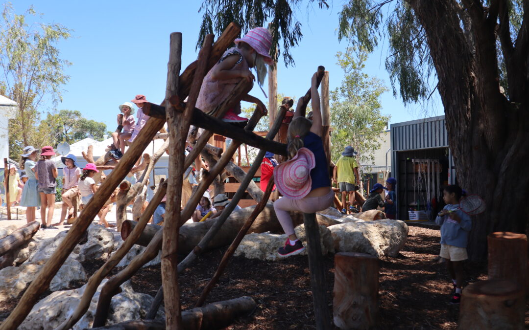 Children climbing bars and playing in RMS playground