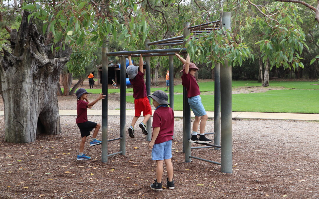 Children playing on monkey bars at the Montessori Schools Picnic at Kings Park