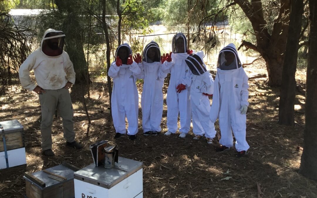 RMS children wearing bee suits in a bee farm